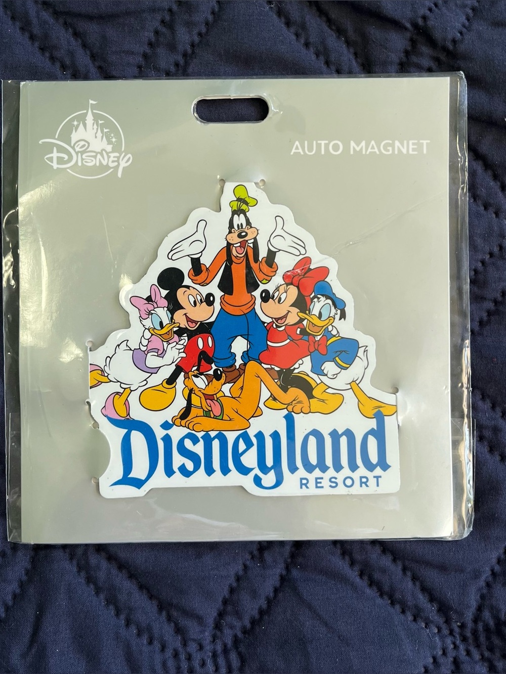 2025 Disneyland Resort Auto Magnet